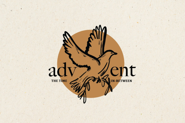 First Saturday of Advent: Reflect